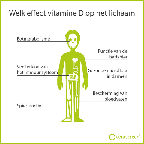 Functies vitamine D