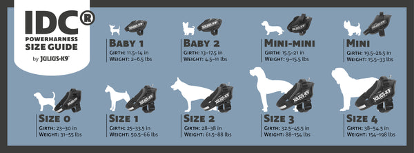 size chart for julius k9 harness