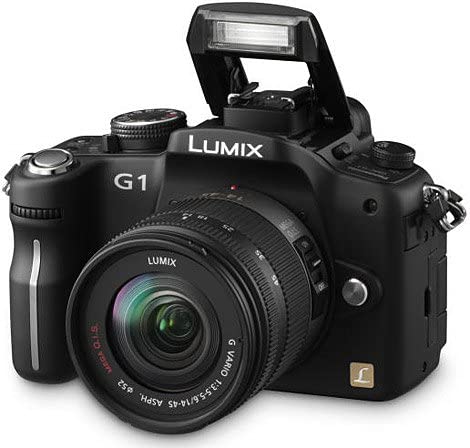 Opblazen Bedenk Kust Panasonic Lumix DMC-G1 Digital Camera w/14-45mm Lens