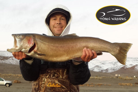 14 lbs 0 oz Cutthroat Trout Pyramid Lake
