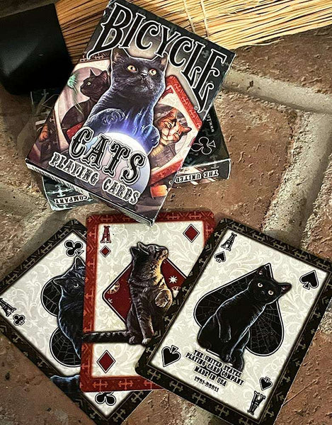 cats playing cards