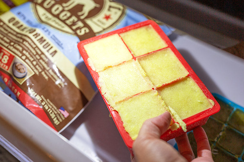 Primal Peanut Butter Pupsicles Step 5 - Putting ice tray into freezer