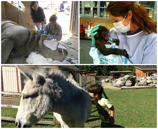 veterinarian instills compassion in kids