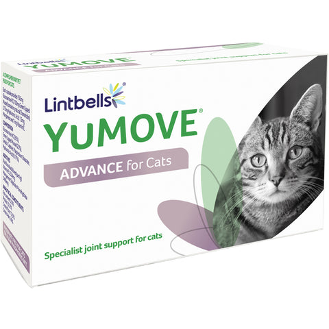 Yumove Advance Cat Capsules x 60