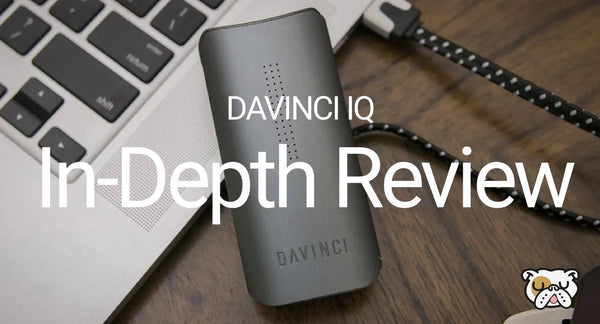 DaVinci IQ Review & Guide DopeBoo