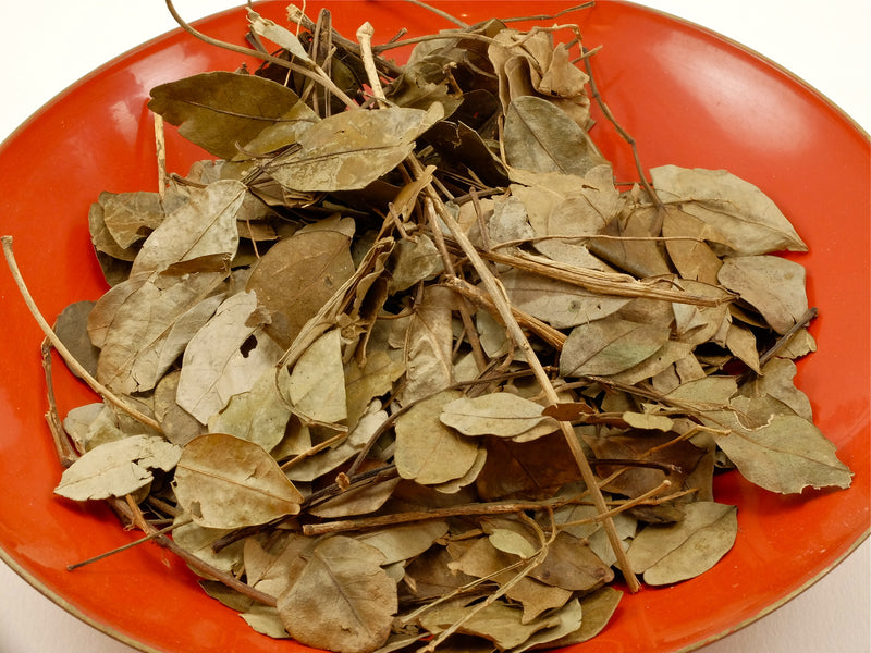 Jaborandi Leaf Whole – Lhasa Karnak Herb Company