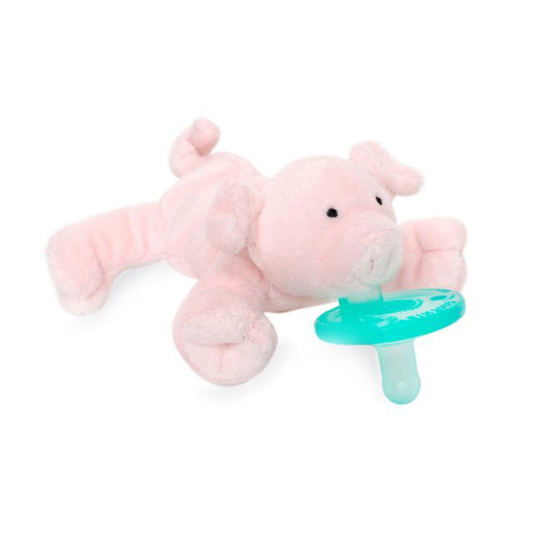 pig pacifier