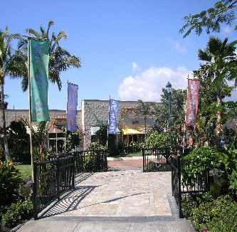 Feather Flags Big Island Hawaii