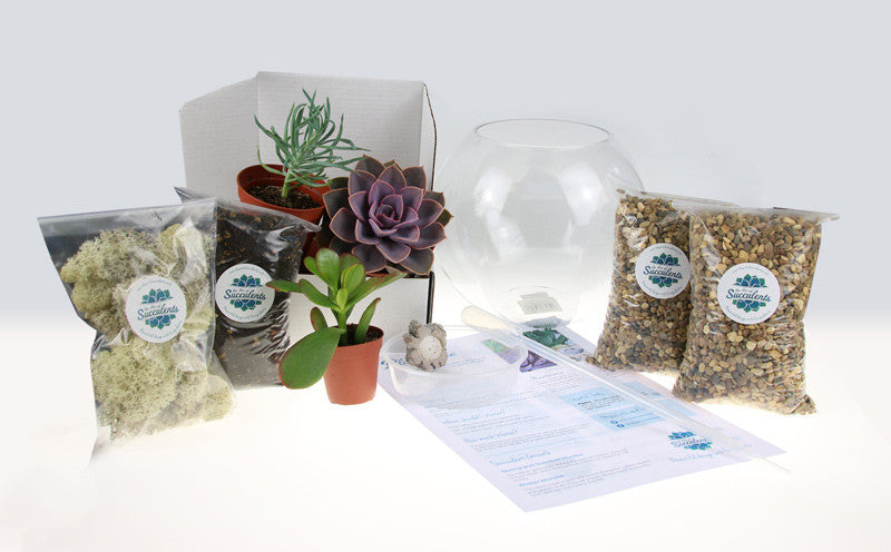 DIY Terrarium Kit Contents from The Art of Succulents