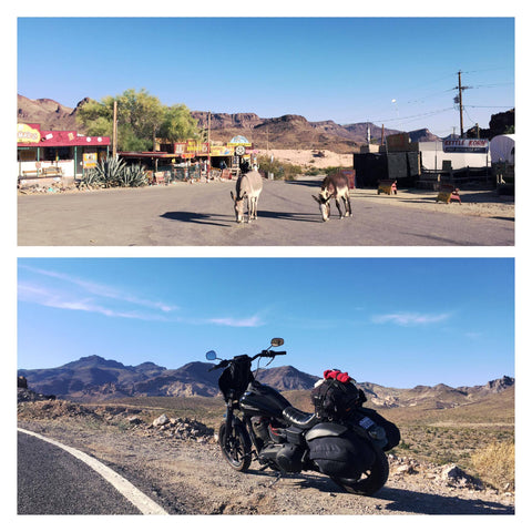 Original Garage Moto - Father and son bike trip, Québec to California on Harley-Davidson