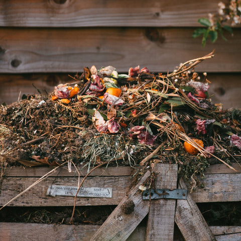 Composting in New Zealand