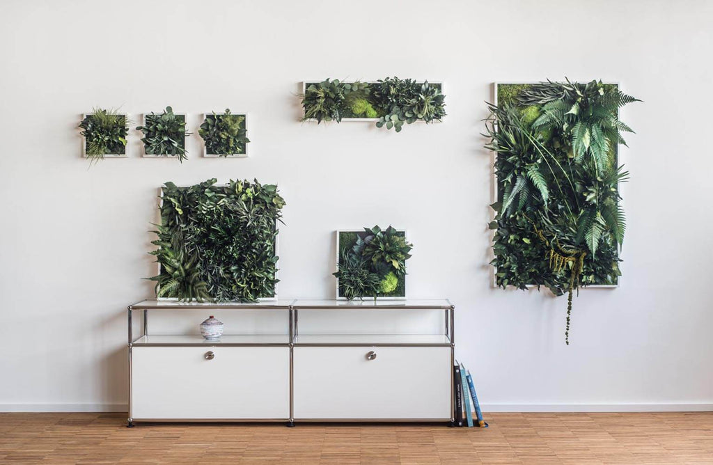Beautiful Plant Wall Art: All You Need to Know about Plant Wall Art and Moss Wall Art