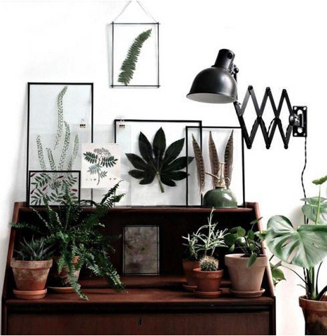 Nature inspired visuals - Nature inspired walls styles - In glass