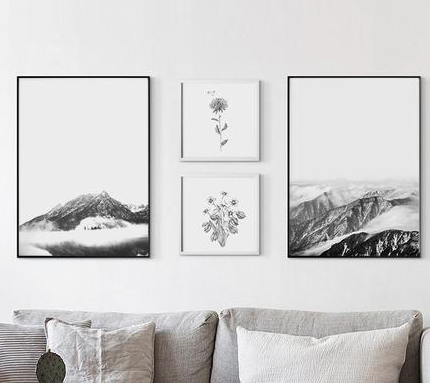 Nature inspired visuals - Nature inspired walls styles - Grey scale