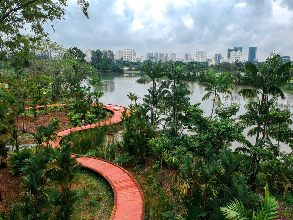 Learning Forests Singapore