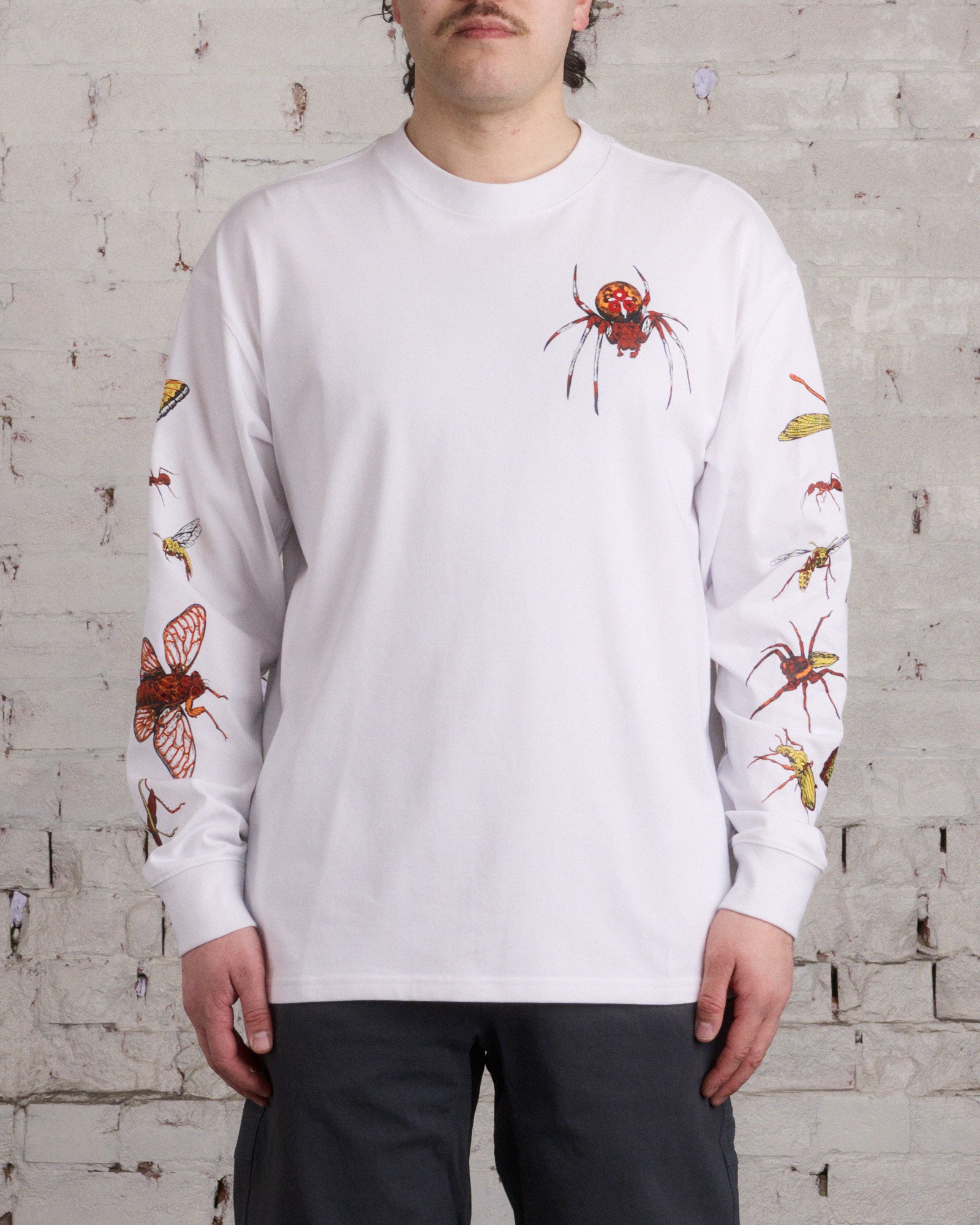 NIKE ACG INSECTS TEE 海外Sサイズ ホワイト - Tシャツ