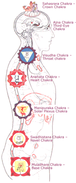 A Beginners Guide to Chakras | Naturhelix Ear Candles