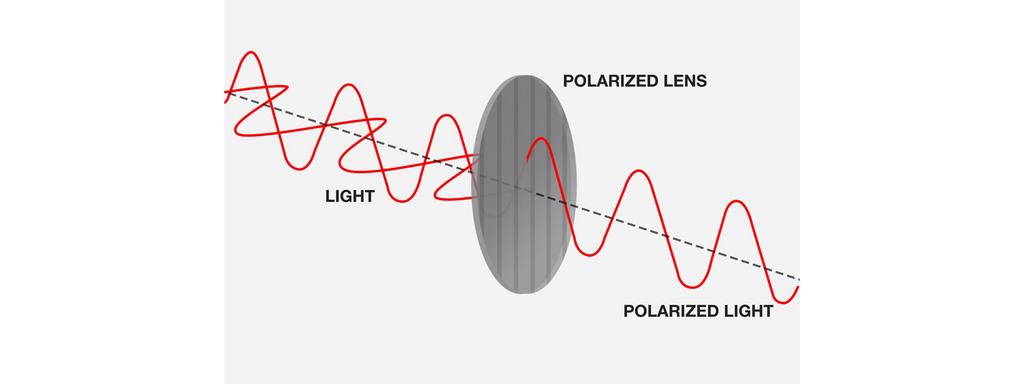 Vertical and horizontal waves