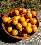 Bowl of Asian pears