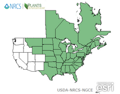 American Hog Peanut USDA Hardiness Zone map