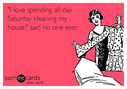 I love spending all day Saturday cleaning my house said no one ever