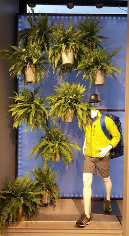 Retail Plant Decor Set Decorating NYC Foliage