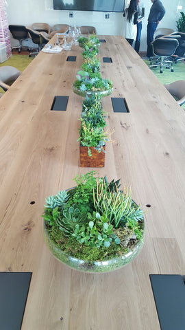 Succulent Delivery Boardroom Meeting NYC 