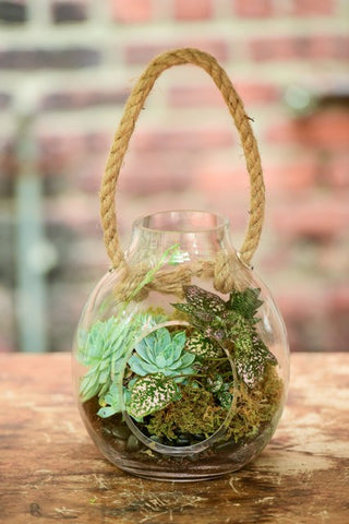 Hanging Succulent Terrarium Vase Delivery NYC