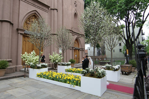 tree rental manhattan nyc wedding