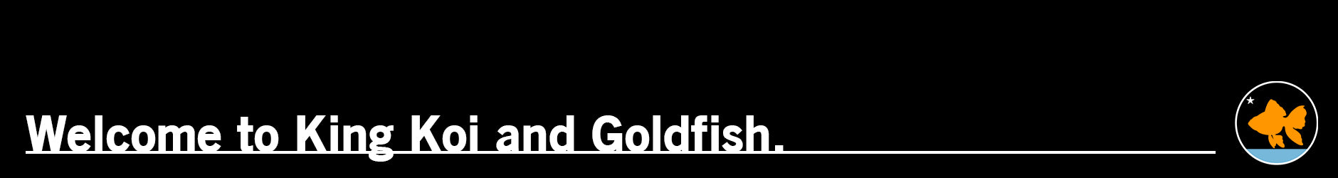 Welcome to King Koi Goldfish.