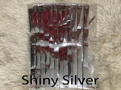 Shiny Silver