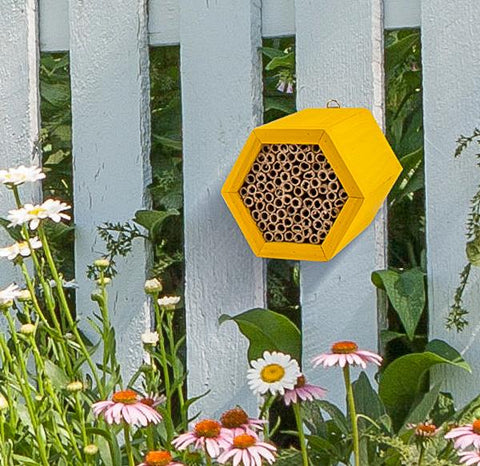 Honeycomb Bee House for Garden