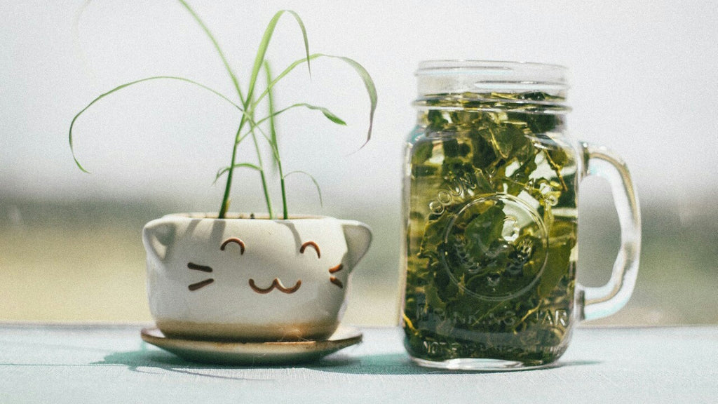 Benefits Of Green Tea For Skin 