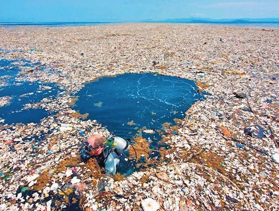 Great Pacific Garbage Patch