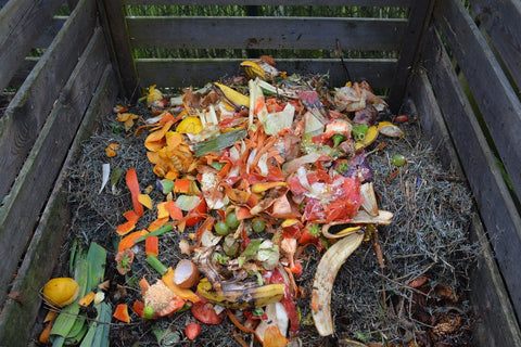 compost bin natural recycling