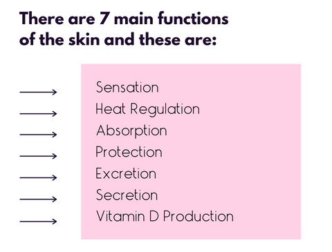 7 functions of skin