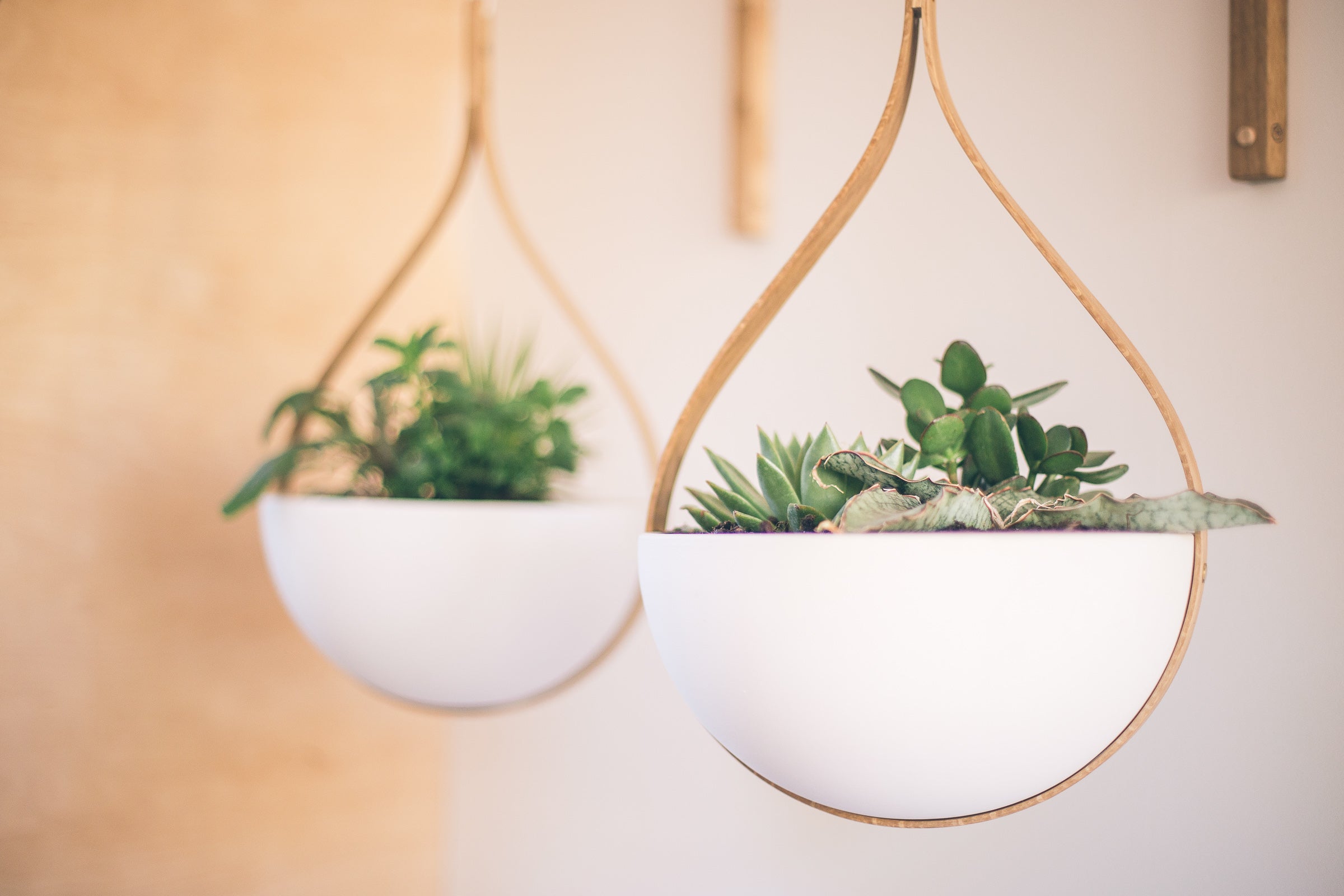 Morvah ceiling hanging planters