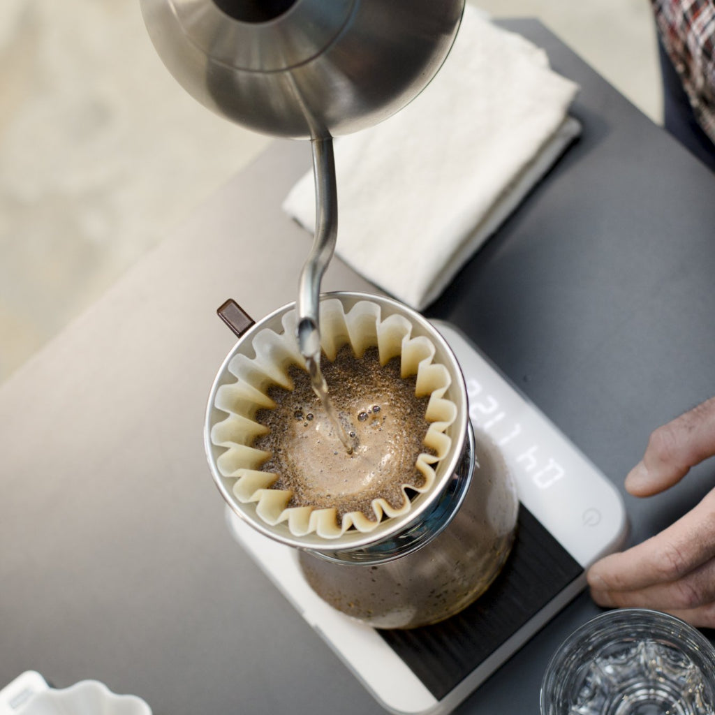 SCA Brewing Professional - Mastering the Coffee Brewing Process