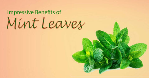 Benefits of Mint Leaves