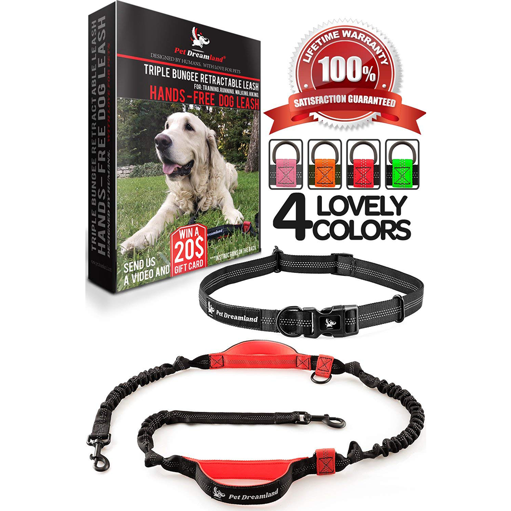 dog leash for large dogs