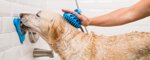 Bathing a dogs neck while they lick a Slow Treater