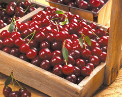 Benefits of Sweet Cherries
