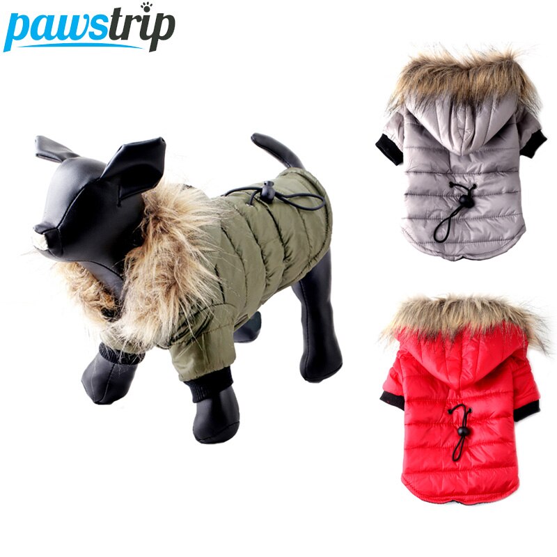 dog winter clothes