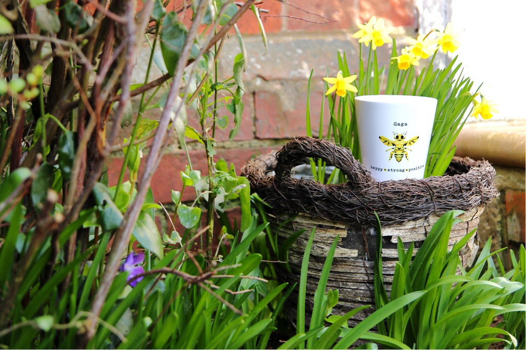 Personalised ‘Bee’ Positive Flower Pot & Wildflower Seed Kit 