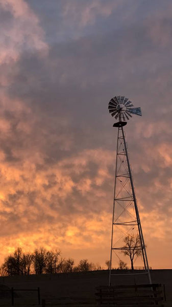 Aermotor Windmill at Sunset