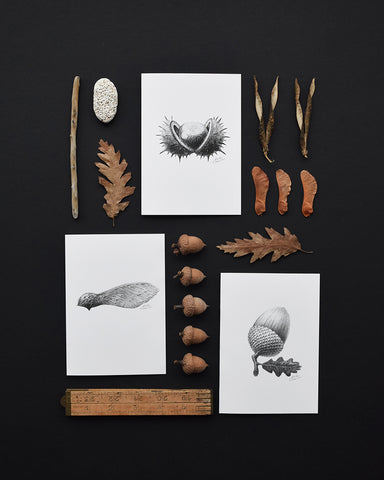 'Technature' greeting cards as a flat lay with autumn seeds 