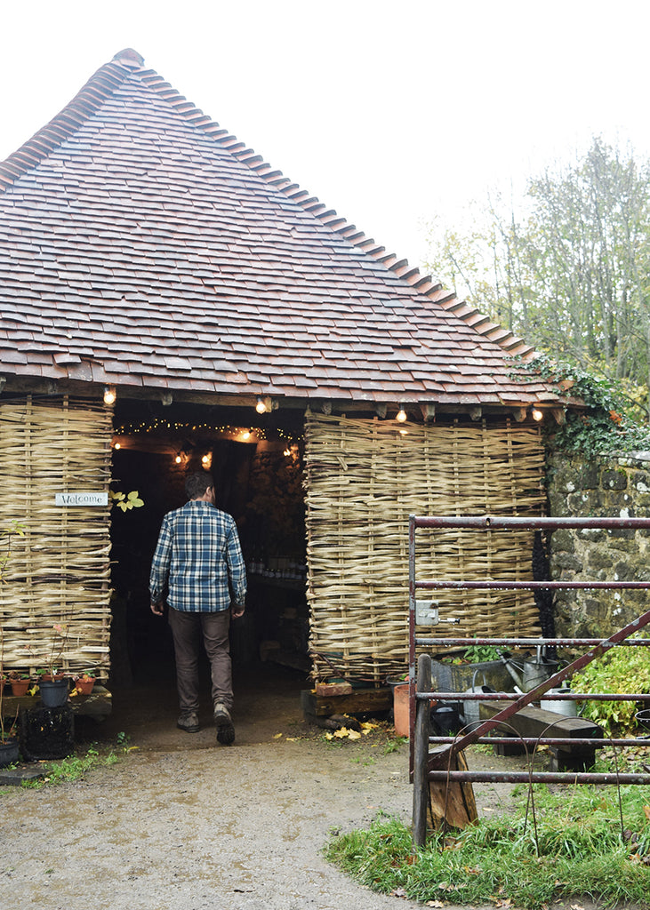 Wild Sussex pop-up shop