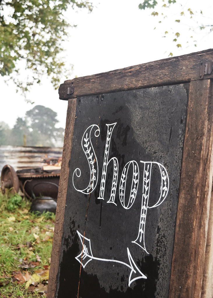 Shop sign for Wild Sussex, a shop selling unique handcrafted good, logs and so much more. 