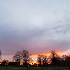 Sunset view from the workshop