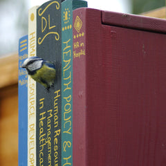 Books Bird Box
